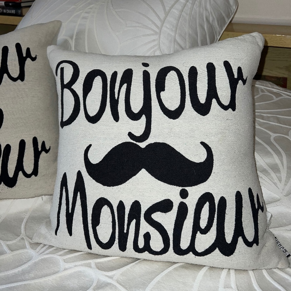 Set of 2 down filled decorative pillows “Bonjour monsieur”